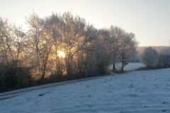 20170123_090738