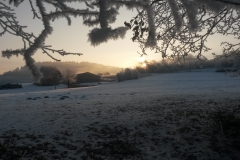 20170123_090920