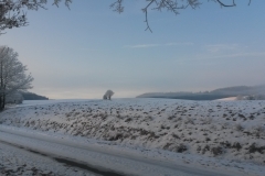 20170123_091021