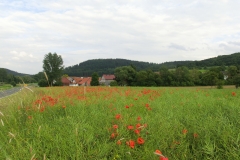 CIMG0526