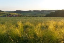 20170605_205728